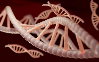 Estudo revela predisposição genética a casos graves de Covid-19 pela 1ª vez