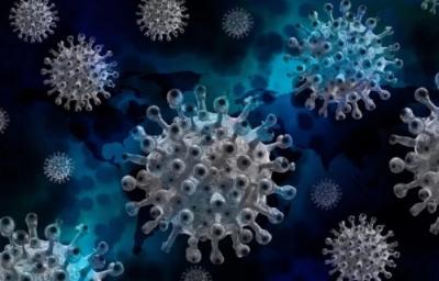 Coronavírus: nova cepa da Califórnia pode ser mais contagiosa e letal