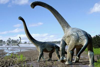 Cientistas encontram titanossauro mais antigo do mundo na Argentina