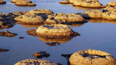Estromatólitos: como a forma de vida mais antiga conhecida ajudou a tornar a Terra habitável