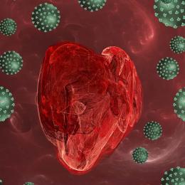 Coronavírus ataca, infecta e mata células musculares do coração