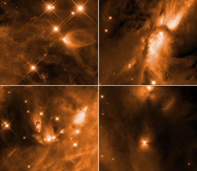 Início do ciclo da vida: Hubble flagra estrelas bebês em Órion