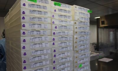 Fiocruz entrega 2,2 dos 15 milhões de doses de vacina prometidas para março