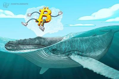 Perspectiva do Bitcoin fica turva após o preço cair abaixo de US$ 54 mil e dois grupos críticos de baleias pedem atenção