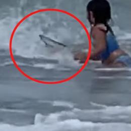 Garota de 6 anos é atacada por tubarão em praia no Havaí