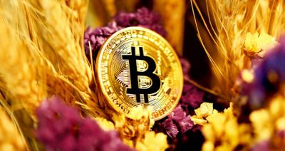 A promessa do bitcoin e o futuro do dinheiro