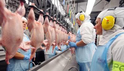 ABPA analisa veto da Arábia Saudita a exportadores de frango do Brasil