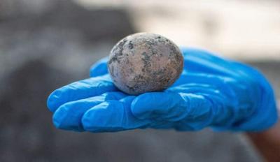 Arqueólogos quebram acidentalmente ovo que estava intacto há 1.000 anos