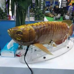 Exército chinês mostra drones subaquáticos assustadoramente realistas como peixes