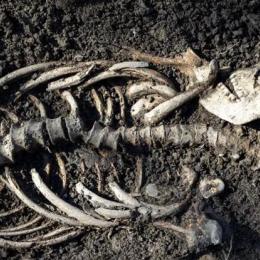 Bebês gêmeos vikings encontrados em um sepultamento cristão na Suécia
