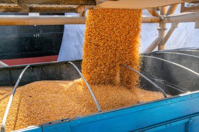 “Produtores retêm milho para vender melhor depois”, diz Benedito Rosa