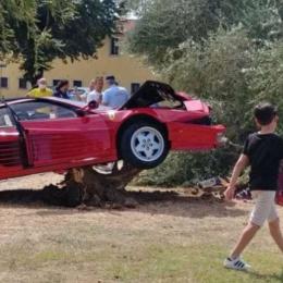 Motorista sobe em árvore e destrói Ferrari