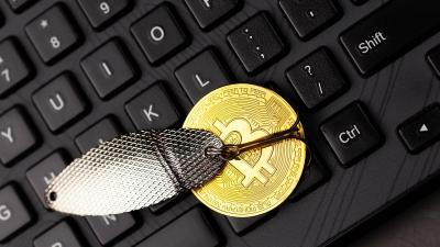Vítima perde R$ 788 mil após acreditar em promessa de “multiplicação de bitcoins”