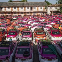Na Tailândia, táxis parados por força da pandemia são agora hortas