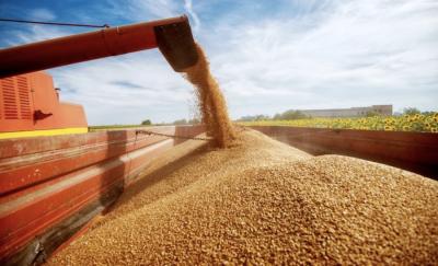Com recorde de setembro, agronegócio acumula superávit de US$82,3 bilhões este ano