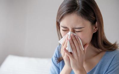 Alergia ao mofo? Veja dicas de como evitar crises alérgicas