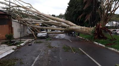 Tempestade chega em Mato Grosso do Sul e cidades já registram ventos de até 70 km/h