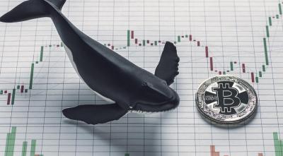 Baleias movem R$10 bilhões em duas transações após correção do Bitcoin