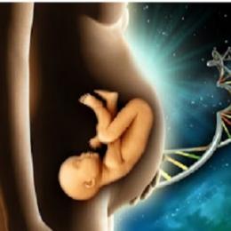  Epigenética - a comunicação entre o embrião e a futura mãe
