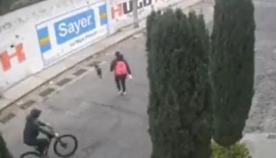 Câmeras de segurança flagraram mulher sendo brutalmente atacada por pitbulls após ela defender cachorro