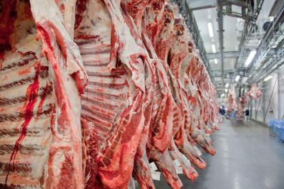Efeito China: exportações de carne bovina registram forte queda em volume e receita