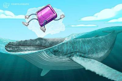 Saiba quais criptomoedas as baleias do Ethereum estão comprando em meio à correção do mercado