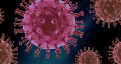 As pistas que a ômicron pode fornecer sobre a origem do novo coronavírus