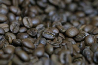 Conab: Produção de café deve atingir 55,7 milhões de sacas na safra de 2022