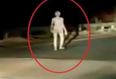 Alien ou fantasma? Estranha criatura é filmada em estrada na Índia