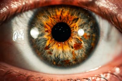 Olhos podem dar pistas da velocidade de nosso envelhecimento