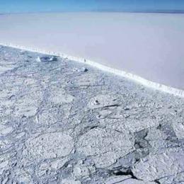 Cientistas temem danos ao ecossistema provocados por 'Mega Iceberg'