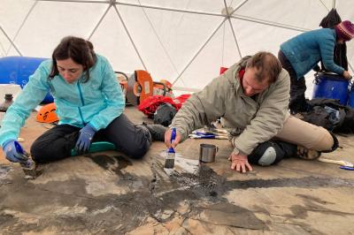 Fóssil de réptil marinho intacto é recuperado de geleira na Patagônia chilena