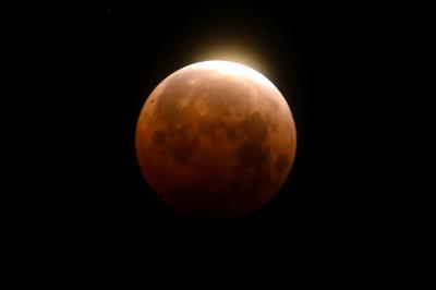 Planetário do Ibirapuera faz evento com sessões especiais e observação do eclipse lunar