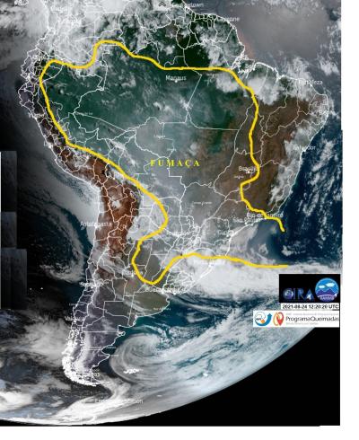 'Falta fiscalização': país já tem dados sobre desmate na Amazônia e não precisa de Musk; veja análise