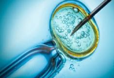  Inseminação artificial x fertilização in vitro - entenda a diferença entre eles