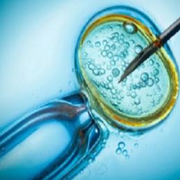  Inseminação artificial x fertilização in vitro - entenda a diferença entre eles
