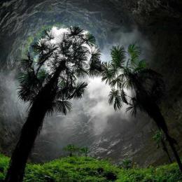 Encontrada caverna na China com floresta antiga e árvores com 40 metros