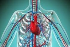  Sopro no coração - turbulência das válvulas cardíacas