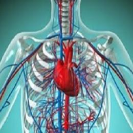  Sopro no coração - turbulência das válvulas cardíacas