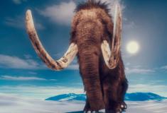 Humanos voltam a ser suspeitos da extinção dos mamutes