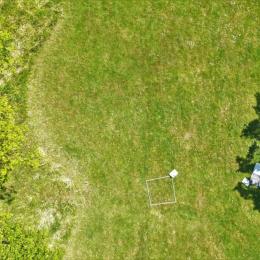 Satélites e drones podem ajudar a salvar polinizadores