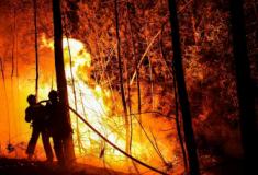 900 bombeiros combatem mega-incêndio no sul da França