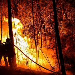 900 bombeiros combatem mega-incêndio no sul da França