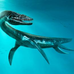 Fósseis de plesiossauros encontrados no Saara 