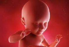  7 coisas que o bebê sente enquanto está dentro do útero