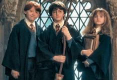 Quem você seria em ‘Harry Potter’?