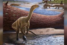 Dinossauro africano mais antigo encontrado no Zimbábue