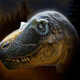 Espécie recém-descoberta de tiranossauro