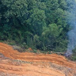 Desmatamento no Brasil  só neste ano já atinge a pior marca desde 2016