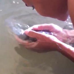 Vídeos mostram que peixes aparentemente gostam de receber carinho